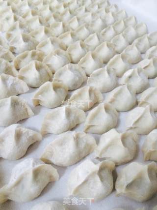 扇贝丁饺子的做法步骤：19
