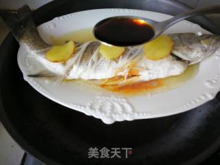 清蒸海鲈鱼的做法步骤：7