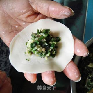 韭菜香干瘦肉饺子的做法步骤：8