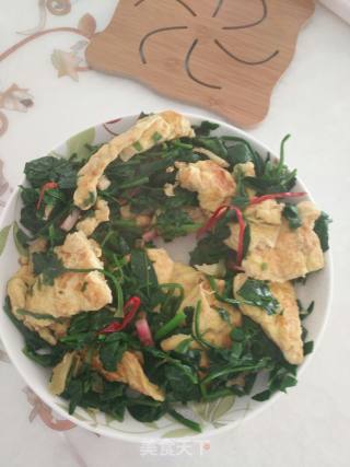 菠菜炒鸡蛋的做法步骤：11