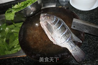 罗非鱼炖旱藕粉丝的做法步骤：1