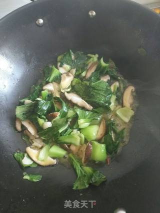 青菜炒香菇的做法步骤：5
