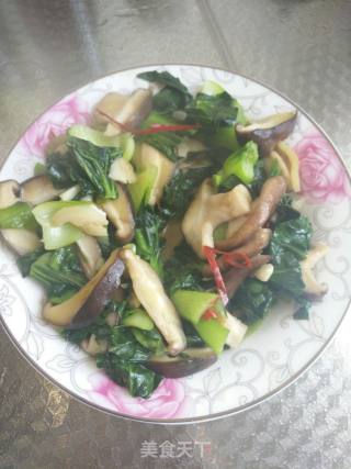青菜炒香菇的做法步骤：6
