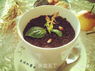 盆栽酸奶的做法步骤：4