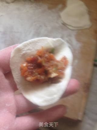 羊肉胡萝卜水饺的做法步骤：11