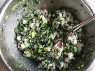 虾仁青菜饺子的做法步骤：9