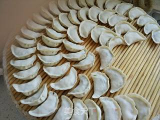 韭菜香菇胡萝卜饺子的做法步骤：5