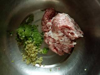 韭菜猪肉水饺~韭菜猪肉饺子的做法步骤：3
