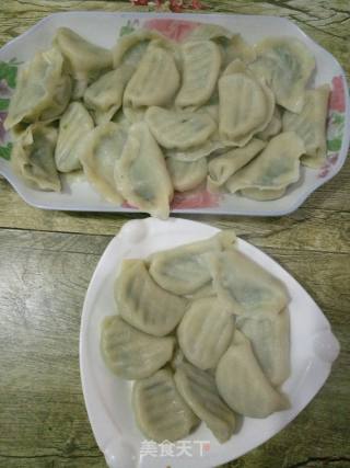 韭菜猪肉水饺~韭菜猪肉饺子的做法步骤：6