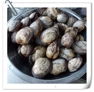 鲅鱼麻蛤水饺的做法步骤：2