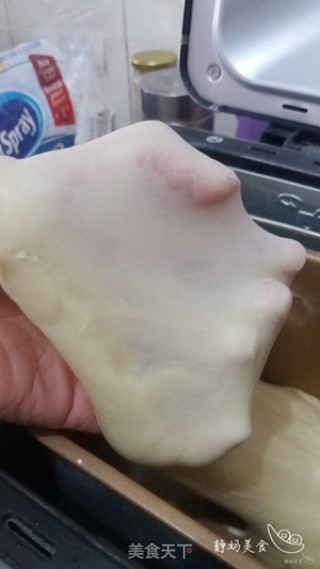 胡萝卜豆沙餐包的做法步骤：6