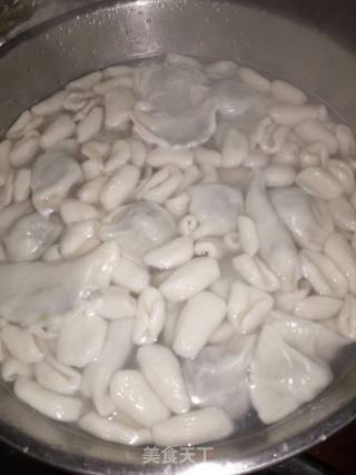冬至花样饺子的做法步骤：13