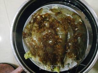 蒜蓉粉丝虾的做法步骤：7