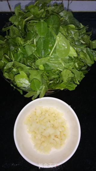 金蒜豆苗的做法步骤：1