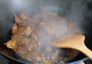 羊肉萝卜炖粉条的做法步骤：9