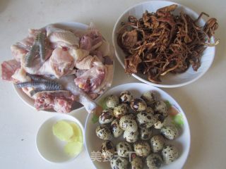 【湖北】茶树菇鹌鹑蛋土鸡汤的做法步骤：1