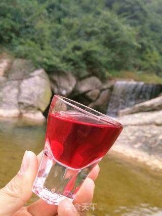自酿洛神花蜜酒30º的做法步骤：9