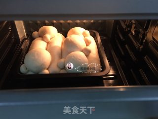 花生酱挤挤卡通汤种面包的做法步骤：19