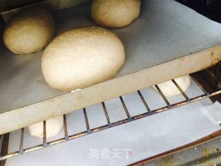 干果乳酪欧包的做法步骤：9