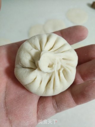 鲜肉白萝卜水煎包的做法步骤：10