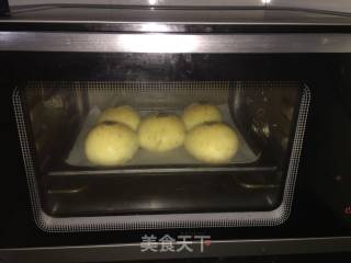 【东北】红豆餐包的做法步骤：8
