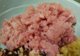 【广东】香菇滑肉包的做法步骤：3