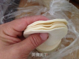【河北】茴香铜钱饺的做法步骤：10