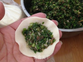 【河北】茴香铜钱饺的做法步骤：11