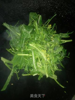 炒菜心的做法步骤：4
