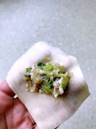 【宁波】菜肉馄饨的做法步骤：5
