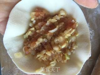 白菜肉蒸饺的做法步骤：4