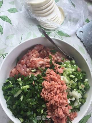 韭菜猪肉饺(两种大馅儿包法)的做法步骤：2