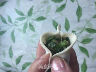 韭菜猪肉饺(两种大馅儿包法)的做法步骤：5