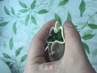 韭菜猪肉饺(两种大馅儿包法)的做法步骤：6