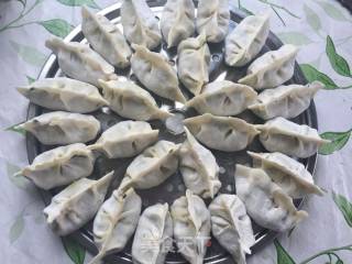 韭菜猪肉饺(两种大馅儿包法)的做法步骤：8
