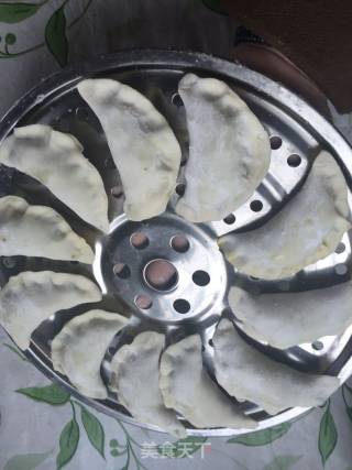 韭菜猪肉饺(两种大馅儿包法)的做法步骤：11
