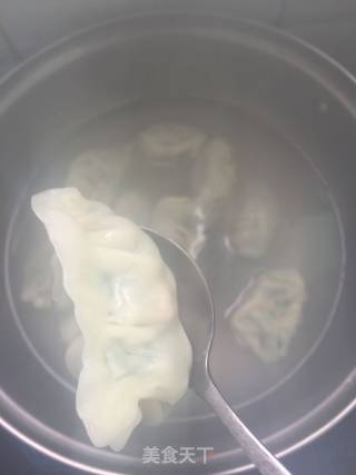 韭菜猪肉饺(两种大馅儿包法)的做法步骤：12
