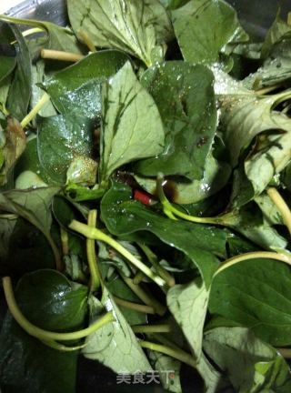 【四川】凉拌鱼腥草的做法步骤：3
