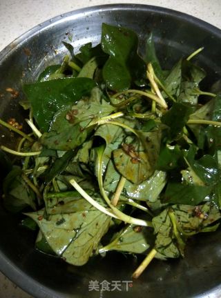 【四川】凉拌鱼腥草的做法步骤：5
