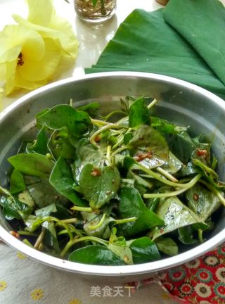 【四川】凉拌鱼腥草的做法步骤：6
