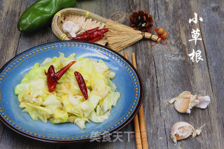 【辽宁】家常圆白菜的做法步骤：8