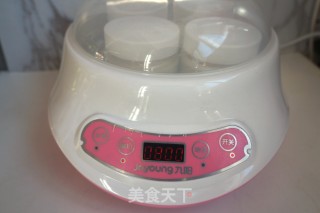 【北京】自制原味酸奶的做法步骤：6