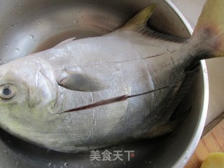 【山东】清蒸银鲳鱼的做法步骤：1