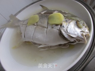 【山东】清蒸银鲳鱼的做法步骤：5