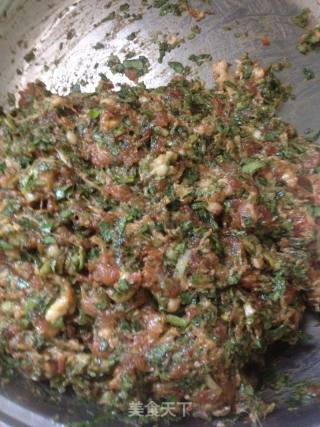 香菜猪肉饺的做法步骤：4