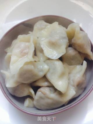 香菜猪肉饺的做法步骤：13