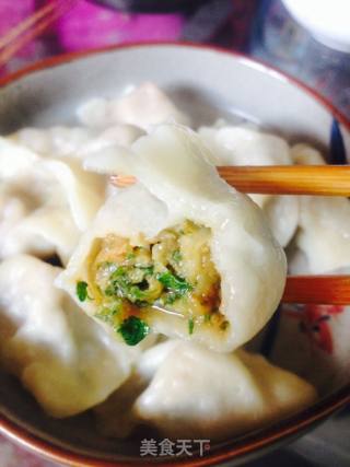 香菜猪肉饺的做法步骤：14