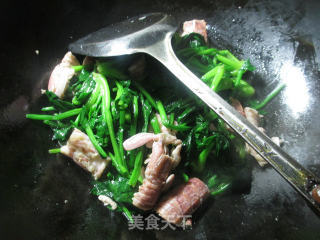 【宁波】菠菜炒虾蛄的做法步骤：7
