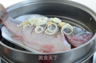 【广东】清蒸鲈鱼的做法步骤：4