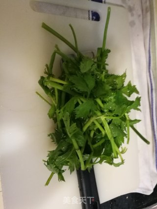 【山西】芹菜叶胡萝卜饼的做法步骤：1